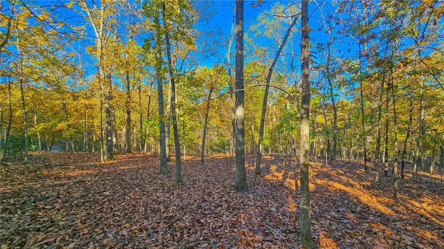 Lot #785 Muirfield Drive, Sunrise Beach, MO 65079 - Image #3