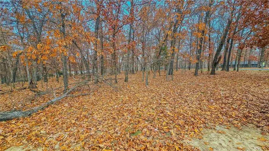 Lot #274 Grand Point Boulevard, Sunrise Beach, MO 65079 - #2