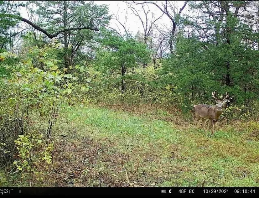 26674 SE 200 Road, Kincaid, KS 66039 - Image #3