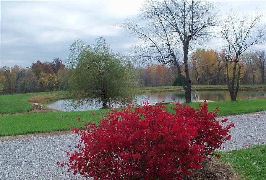 22006 S State Route K Highway, Pleasant Hill, MO 64080 - Image #2