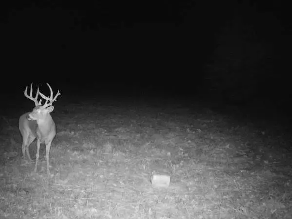 000 C Highway, Albany, MO 64402 - Image #3