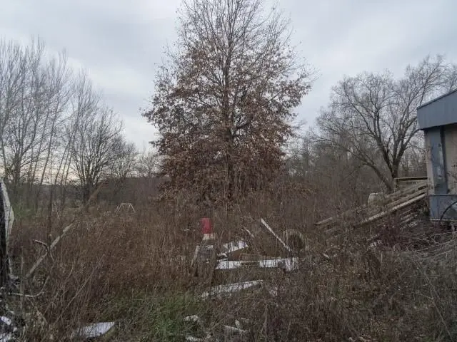 3420 NE County Road 12193 Road, Butler, MO 64730 - Image #3