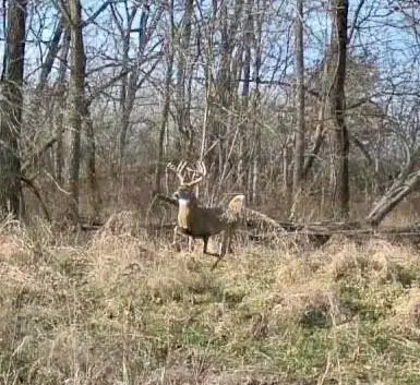 Hickory Grove Road, Richmond, MO 64085