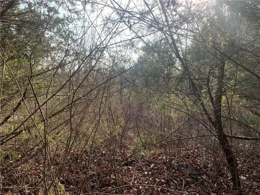 30 Foxwood Drive, Linn Valley, KS 66040 - Image #2