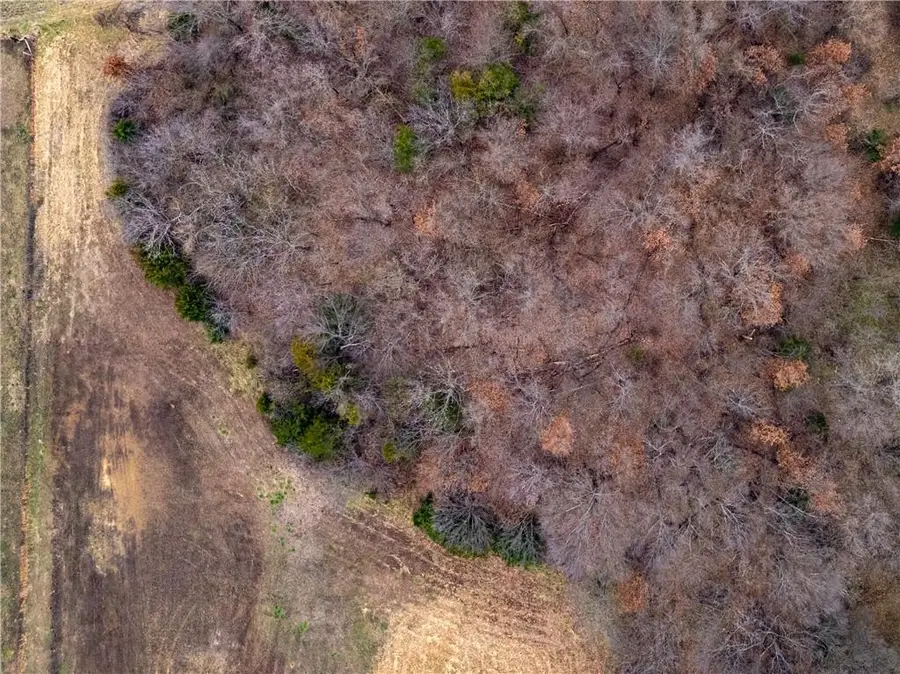 21363 Walnut Grove Road, Sedalia, MO 65301 - Image #3