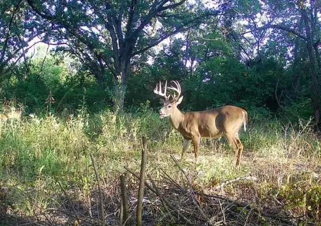 Argo Road, Independence, MO 64057 - Image #1