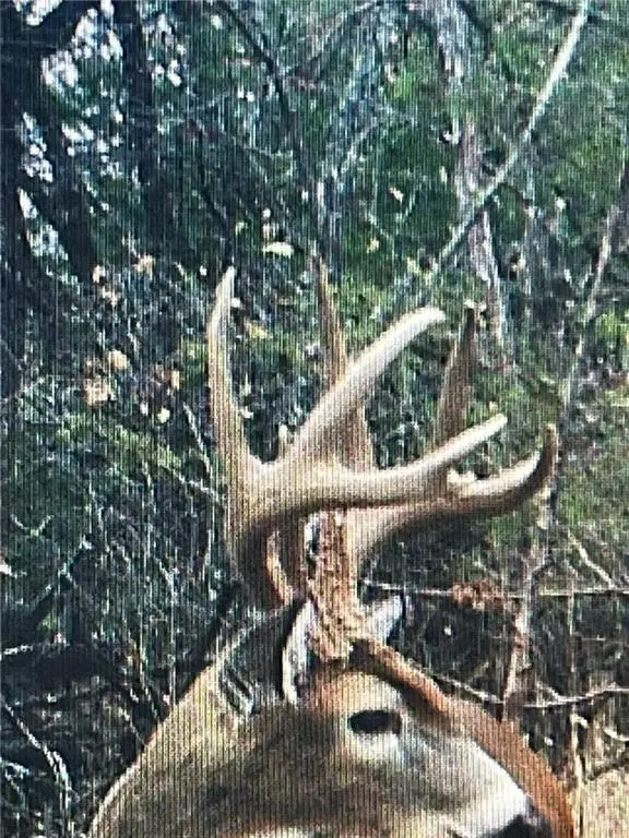 00000 W 363rd Street, Osawatomie, KS 66064 - Image #3