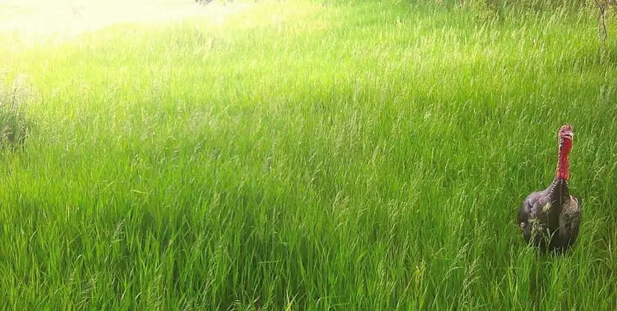 00000 325 Road, White Cloud, KS 66035 - Image #2