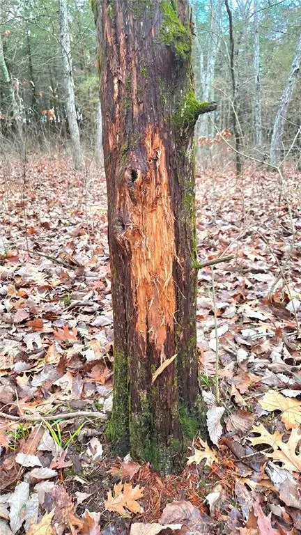 12156 Ellis Road, Centerville, KS 66014 - Image #2