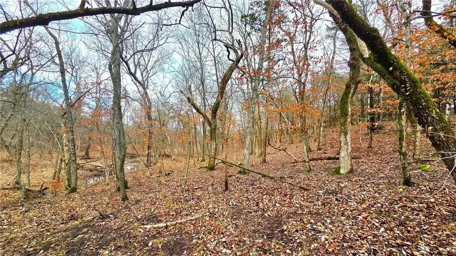 12156 Ellis Road, Centerville, KS 66014 - Image #3