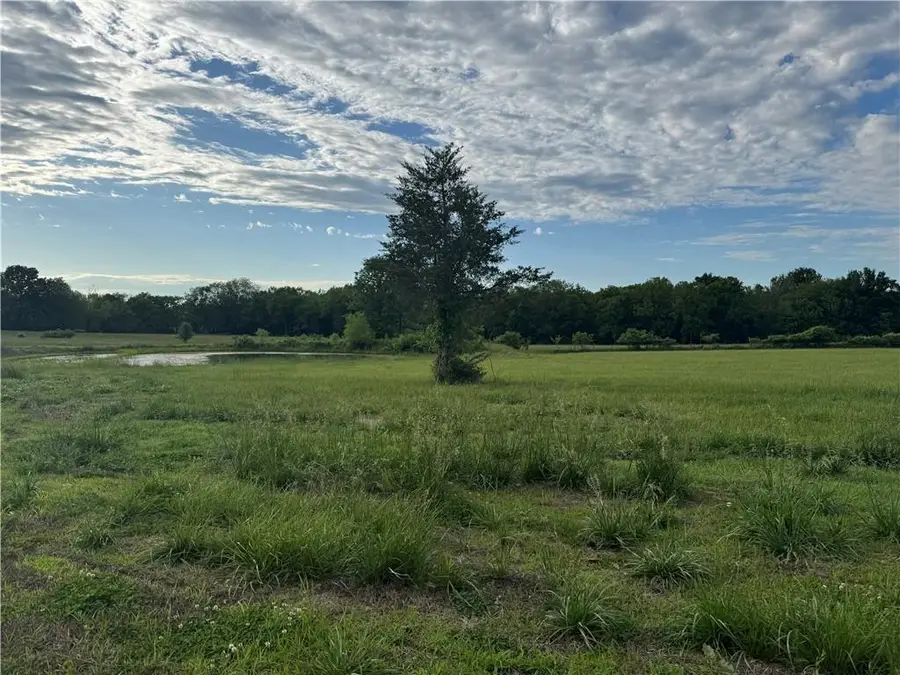 30202 E Norris Court, Grain Valley, MO 64029 - Image #2