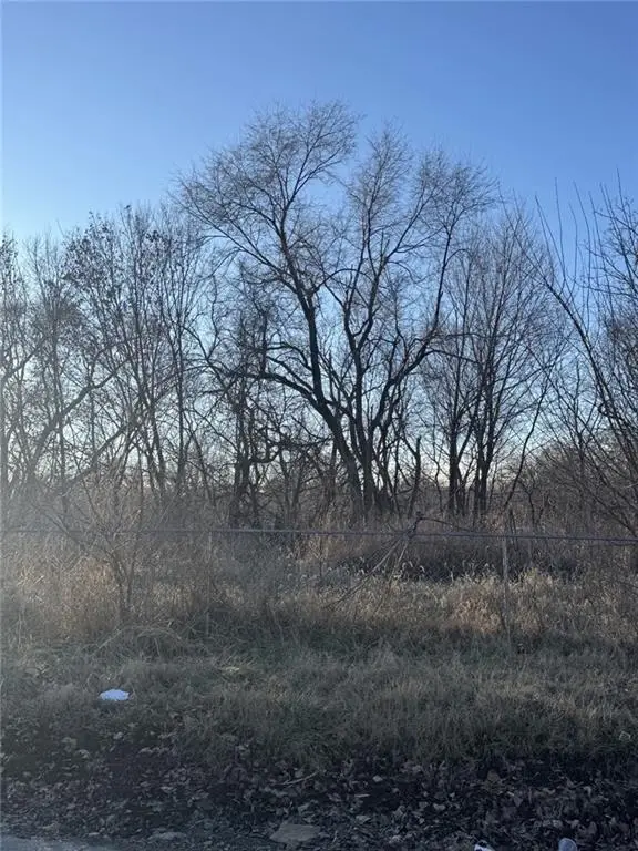 216 S Bethany Street, Kansas City, KS 66102 - Image #2