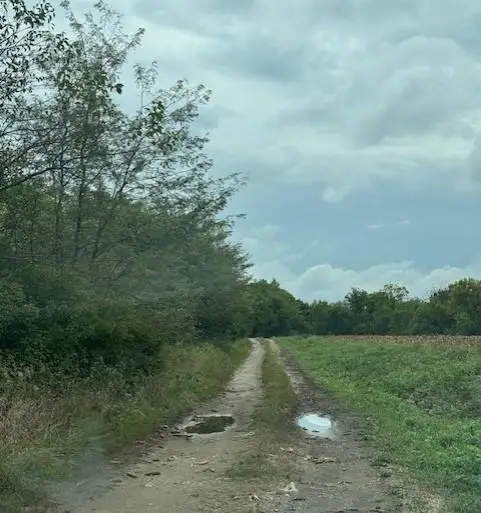 10009 NE County Rd 13004 Road, Adrian, MO 64720 - Image #1