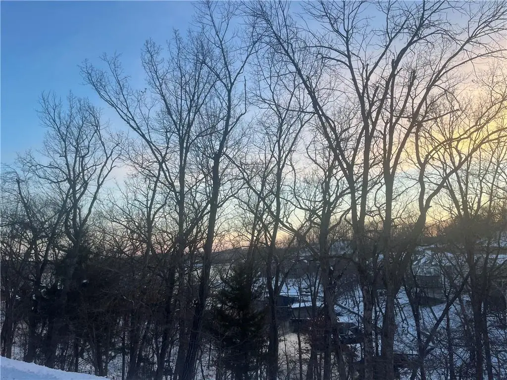 Palisades Drive, Village Of Four Seasons, MO 65049 - #1