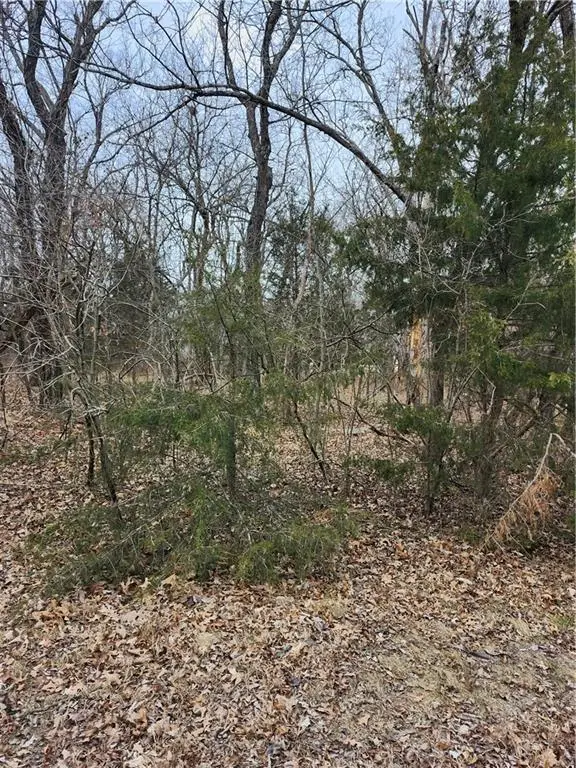 13 Silver Lane, Linn Valley, KS 66040 - Image #1