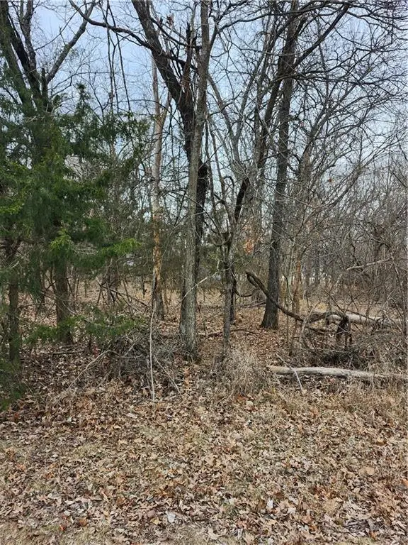 13 Silver Lane, Linn Valley, KS 66040 - Image #3