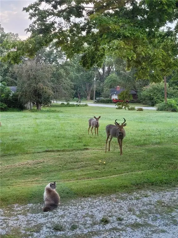 14815 E Mayes Road, Independence, MO 64050 - Image #3