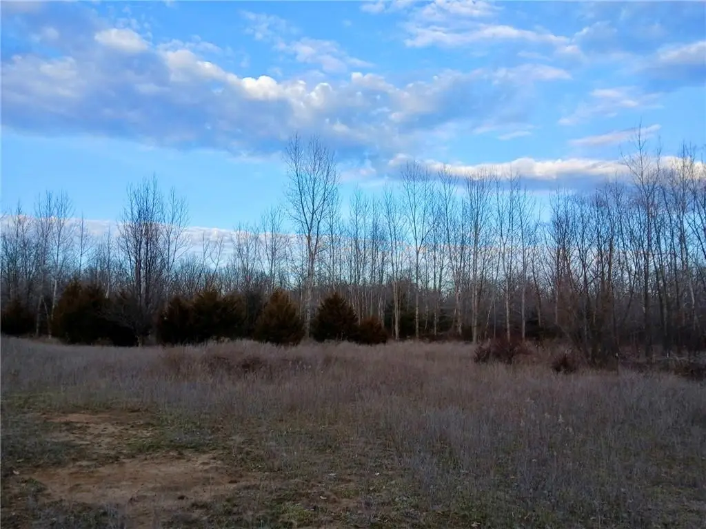 1615 NW 450th Road, Kingsville, MO 64061 - #1