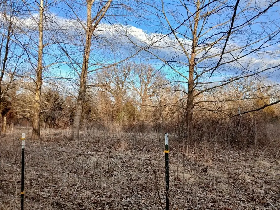 1615 NW 450th Road, Kingsville, MO 64061 - #2