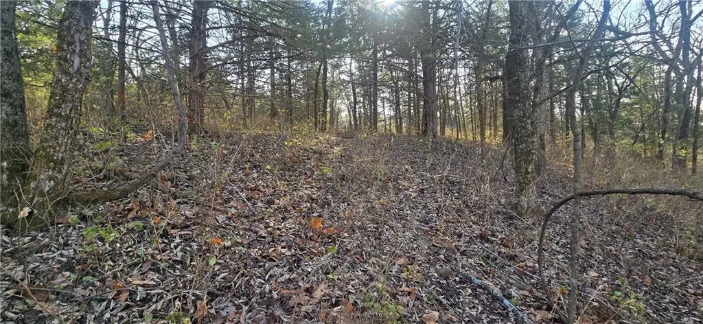 W 207th Street, Edgerton, KS 66021 - #1