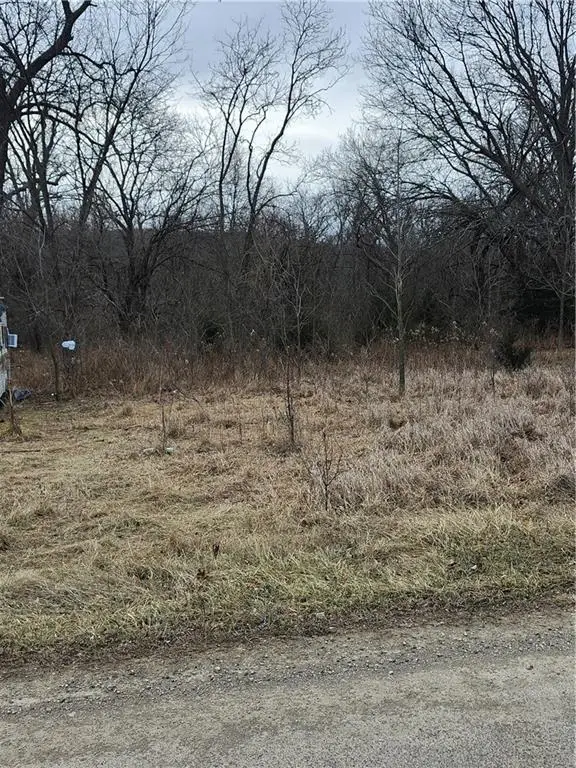 174 Holiday Drive, Linn Valley, KS 66040 - #2