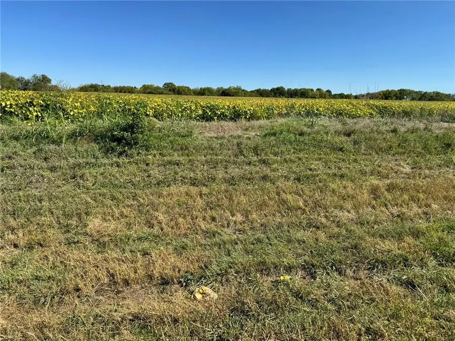 Lone Star Road, Paola, KS 66071 - #2