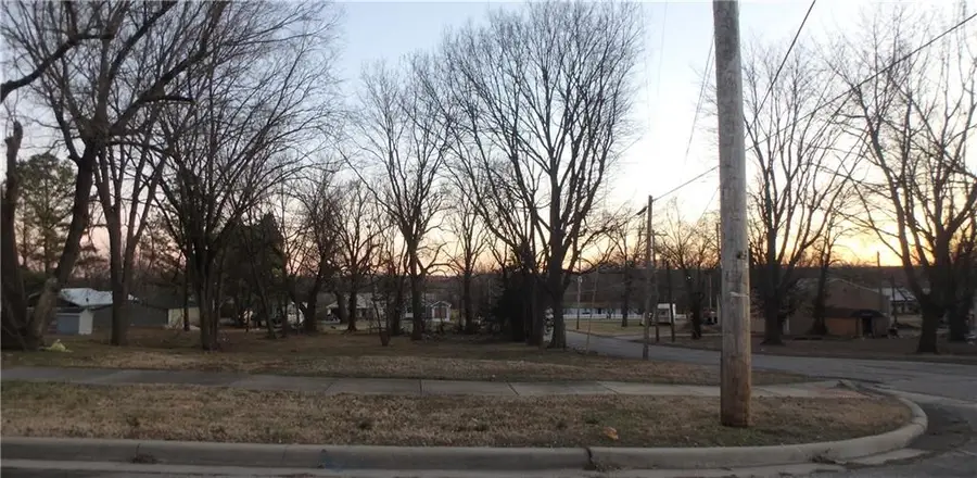 1041 Walnut Avenue, Osawatomie, KS 66064 - #2