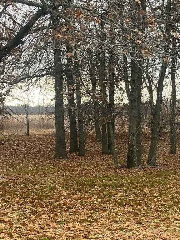 000000 E 610th Avenue, Pittsburg, KS 66762 - #1