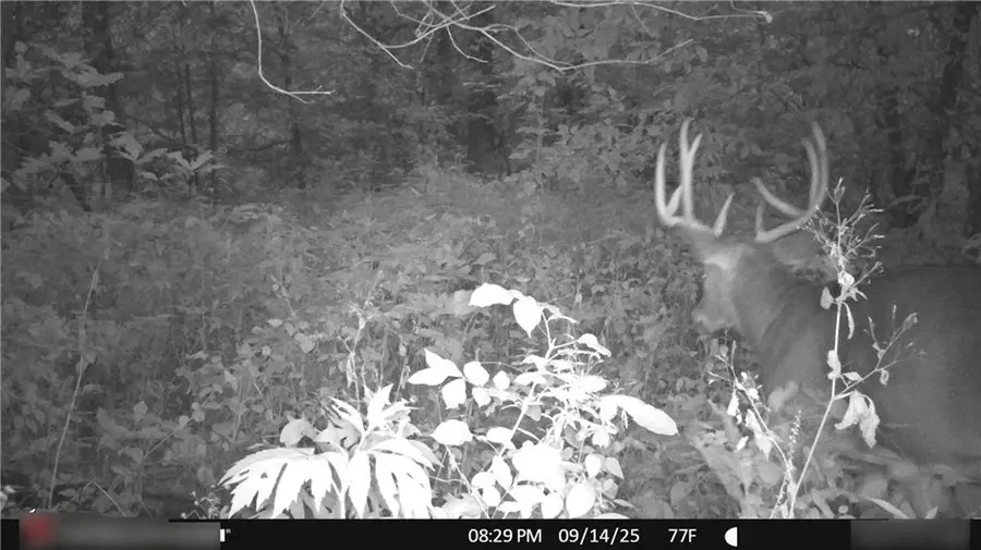 Flint Avenue, Jameson, MO 64647 - #3