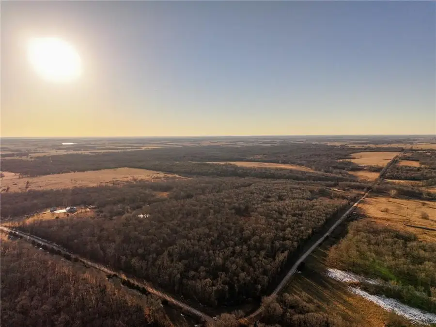 21395 S 725th Road, Stockton, MO 65785 - #2