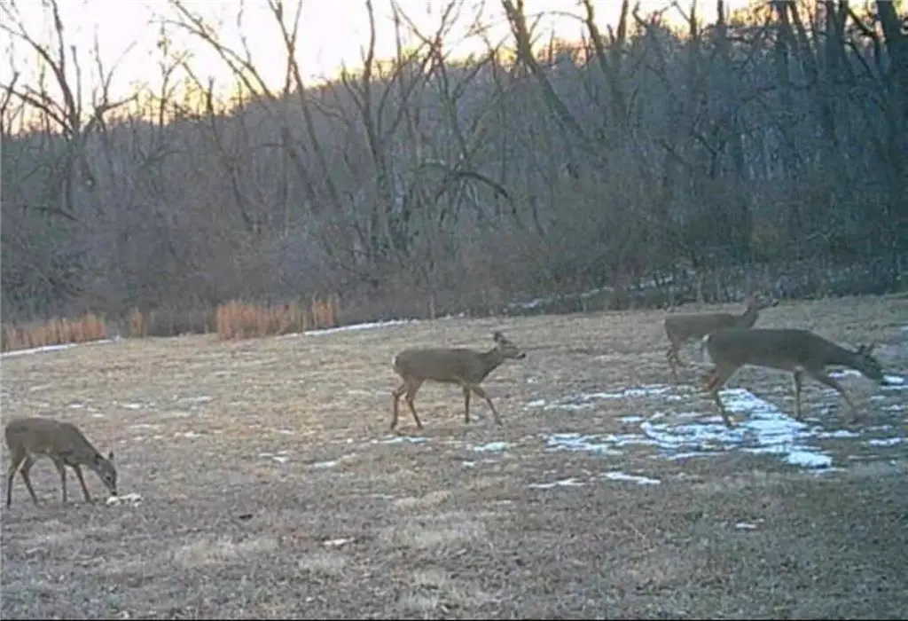 20401 E Bundschu Road, Independence, MO 64056 - #1