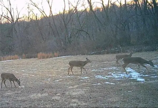 20401 E Bundschu Road, Independence, MO 64056