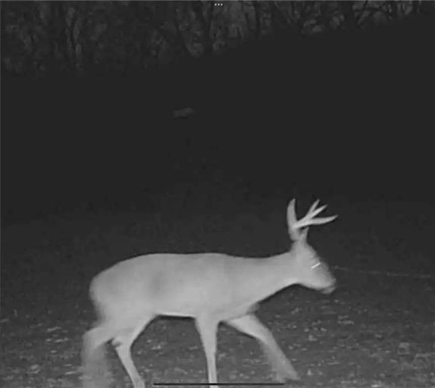 20401 E Bundschu Road, Independence, MO 64056 - #2