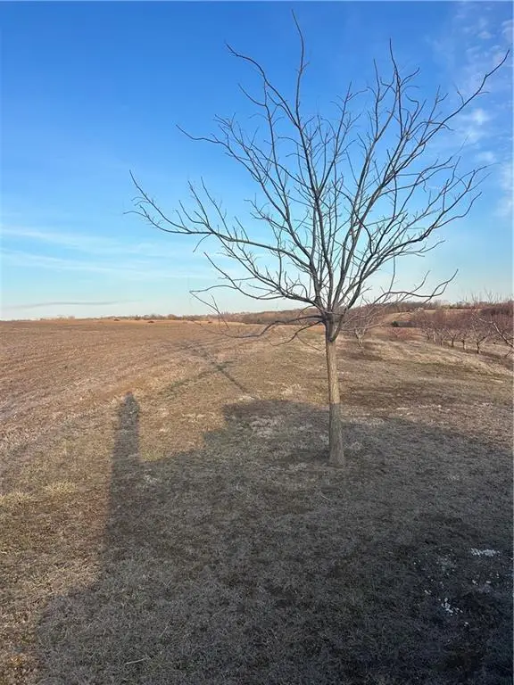 8676 Appletree Lane, Lexington, MO 64067 - #3