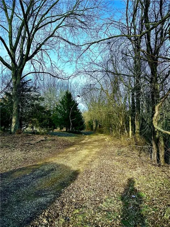 7654 SW County 1007 Road, Rich Hill, MO 64779 - #2