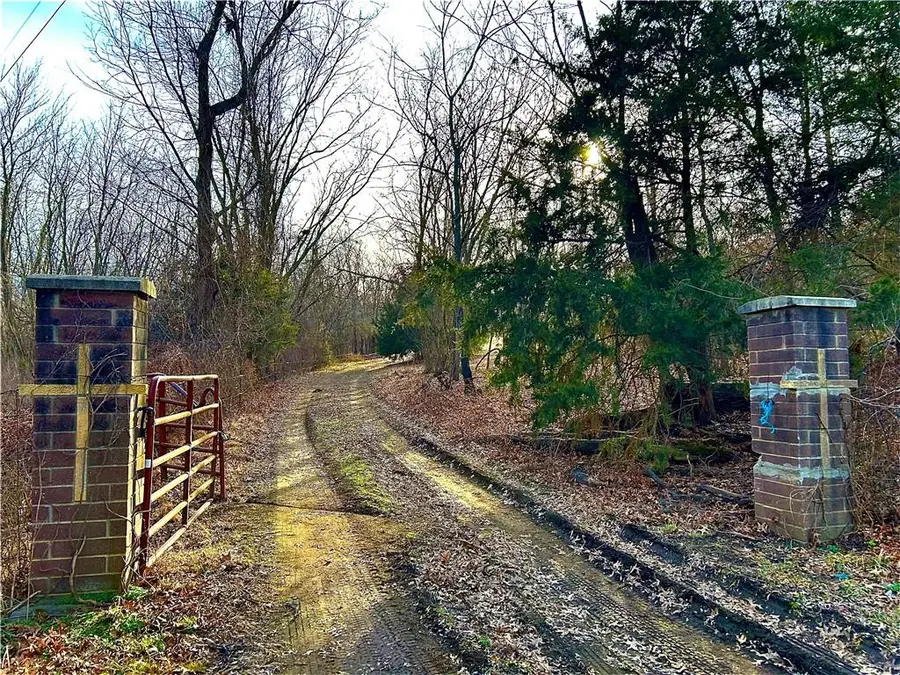 SW County Road 1007 Road, Rich Hill, MO 64779 - #2