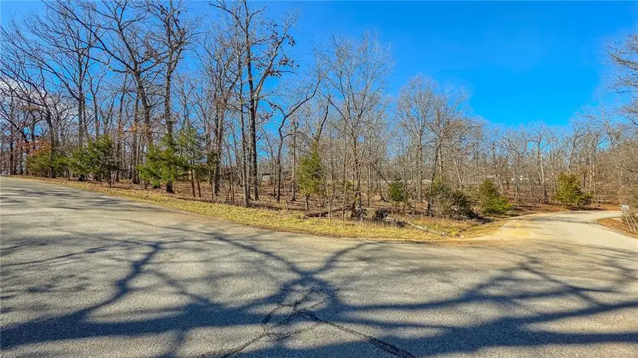 Lot #307 E Lake Court, Sunrise Beach, MO 65079 - #3