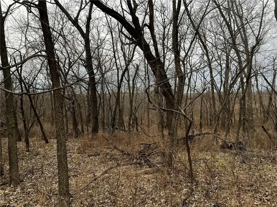 J Highway, Albany, MO 64402 - #3