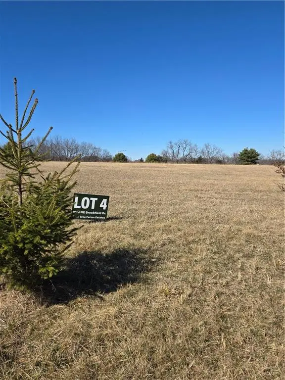 1028 Brookfield Drive, Lees Summit, MO 64086 - #1