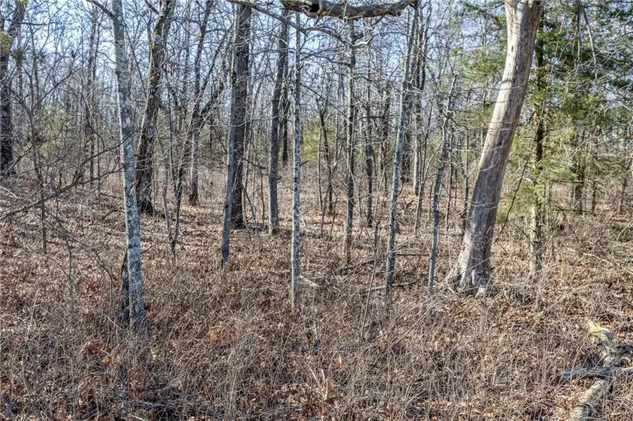 xx Tract 1 Lindley Road, Buffalo, MO 65622 - #3