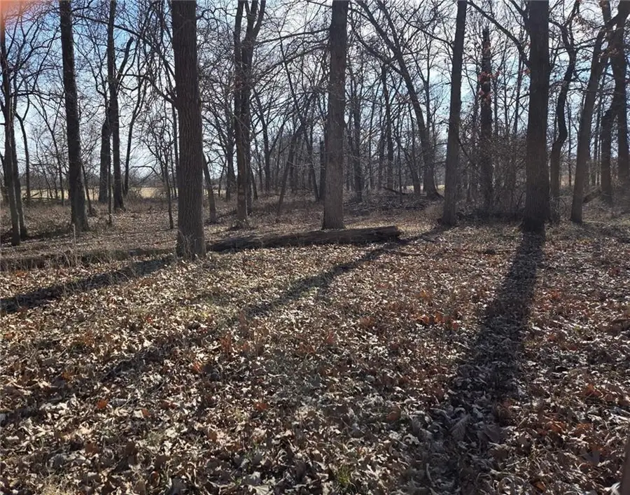 Lot 2 NW County Rd 17402 N/a, Archie, MO 64725 - #2