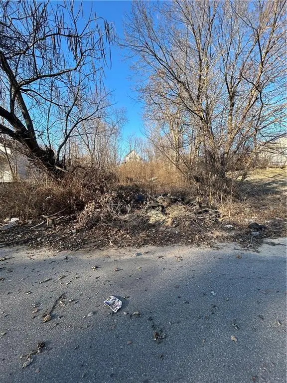 910 Northrup Avenue, Kansas City, KS 66101 - #1