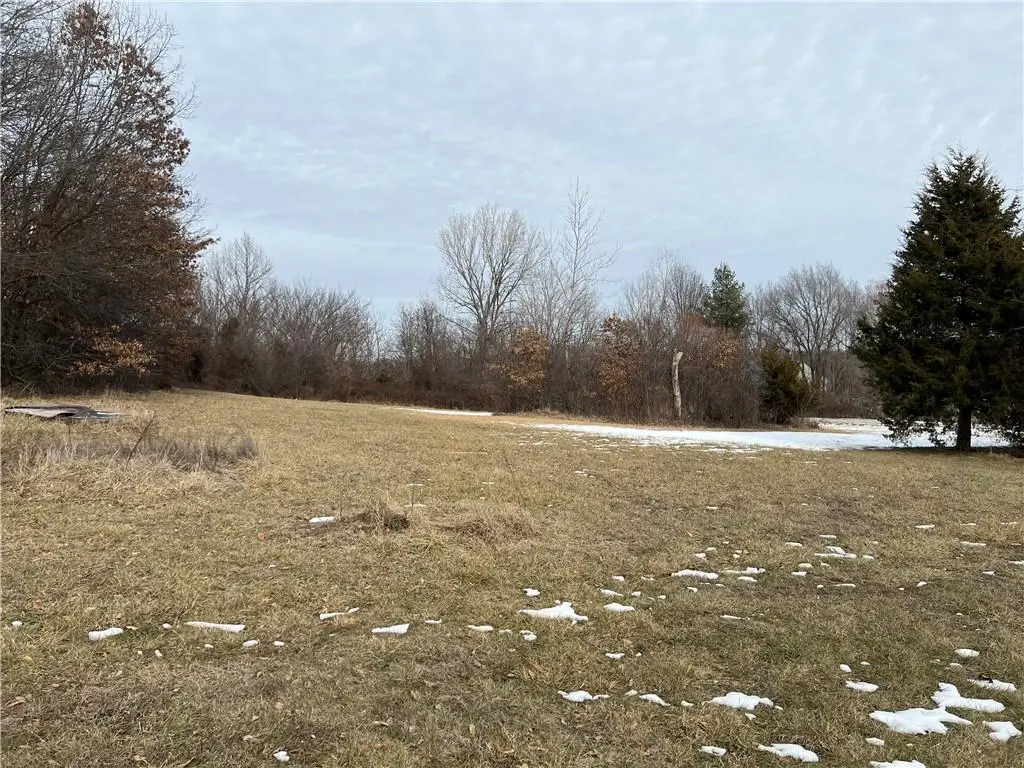 170 NW 1871st Road, Kingsville, MO 64061 - #1