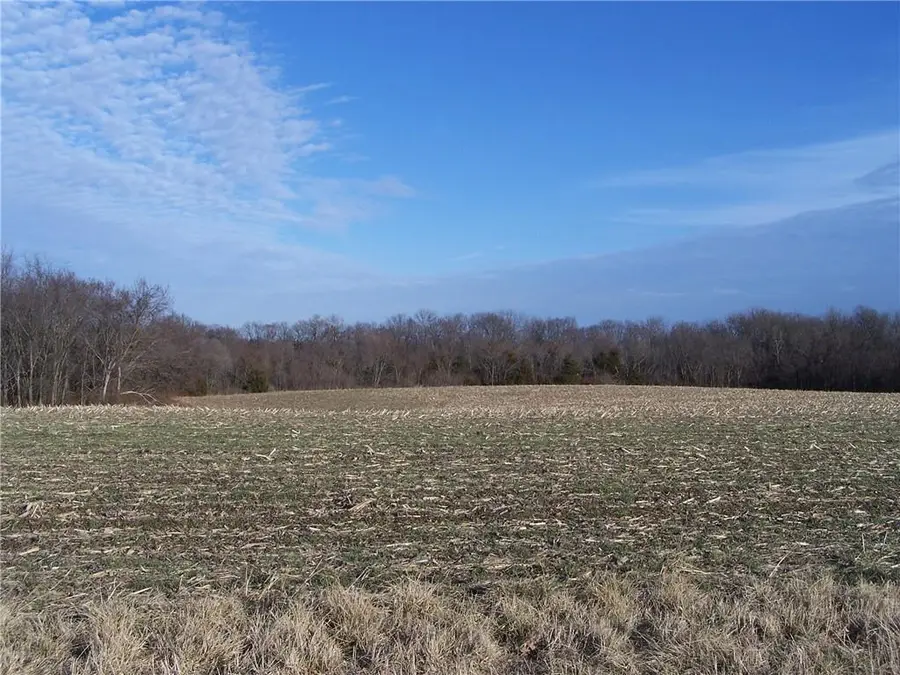 1000 Road, Bates City, MO 64011 - #2