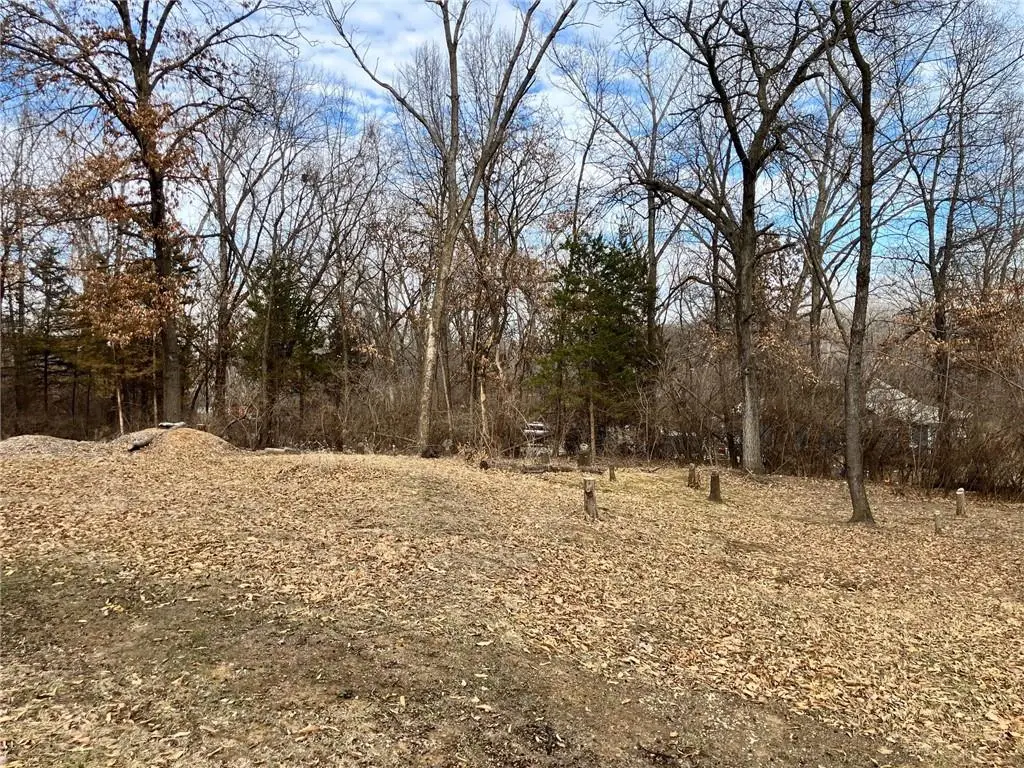 6318 Riverview Avenue, Kansas City, KS 66102 - #1