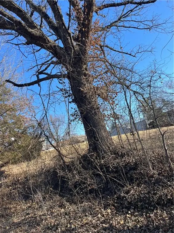 4th & Gold Gold Street, Paola, KS 66071 - #3