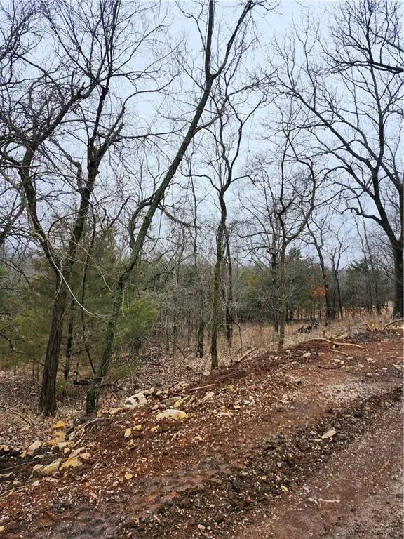 6 & 10 Live Oak Drive, Linn Valley, KS 66040 - #1