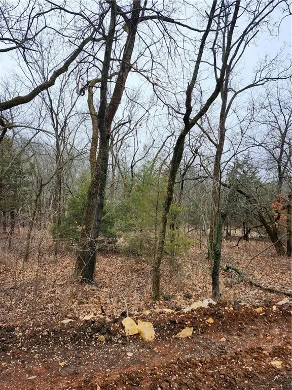 6 & 10 Live Oak Drive, Linn Valley, KS 66040 - #3