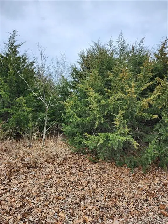 146 Boxelder Drive, Linn Valley, KS 66040 - #3