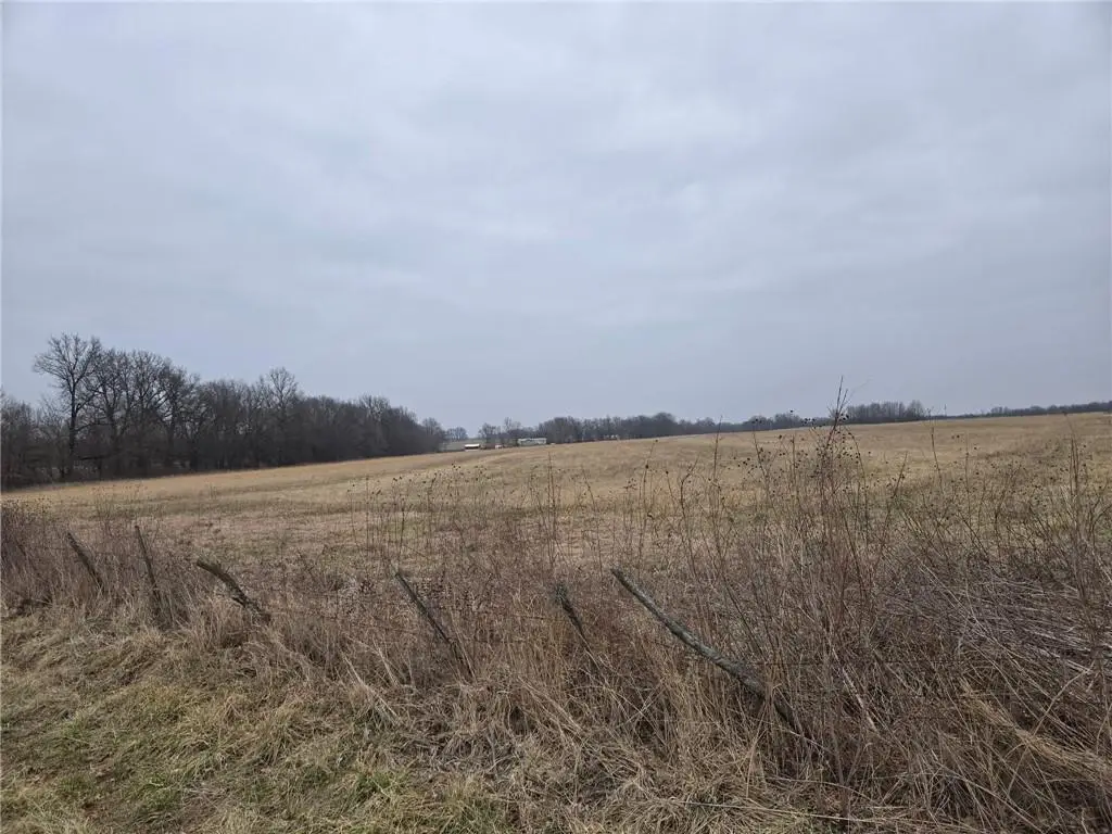 E 295th Street, Harrisonville, MO 64701 - #1